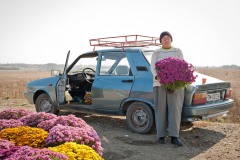 Banat, Oktober 2011