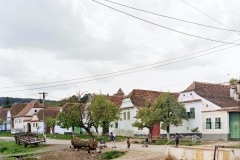 Viscri / Deutschkreuz,  Mai 2008