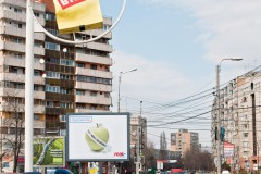 Timisoara, 2009