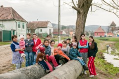 Netus, 2009