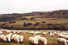 Transsilvanien, Oktober 2009