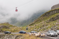 Transfagarasan, 2009
