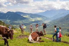 Berchtesgadener Land, Juni 2020