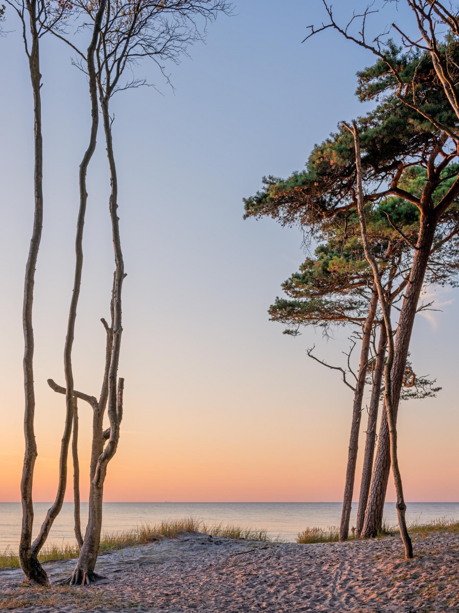 Weststrand, Ostsee, August 2020