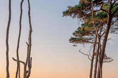 Weststrand, Ostsee, August 2020