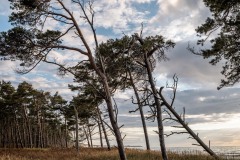 Weststrand, Darß, Oktober 2021