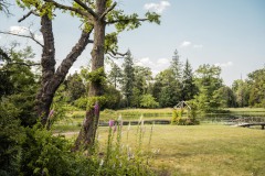 Wörlitzer Park, Juni 2021