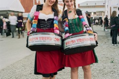 Wiesnwesn